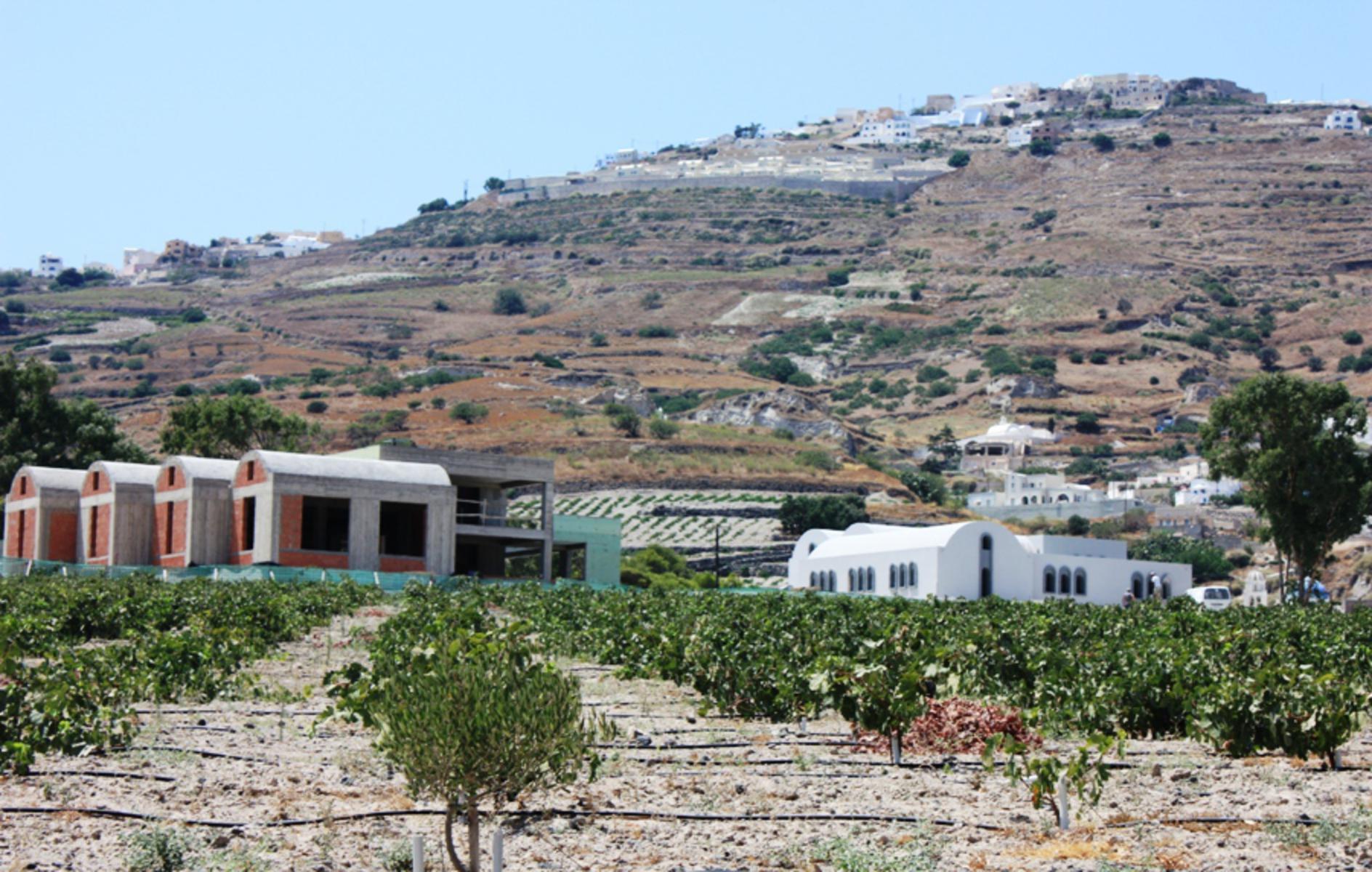 Argyros Estate - Winery in Santorini